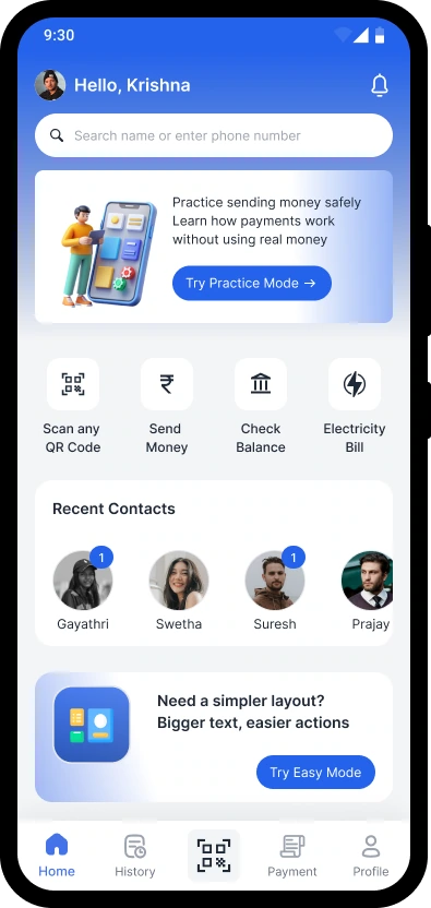 PayNora: Senior-inclusive FinTech application hero interface